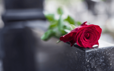 „Über den Tod und das Leben danach“